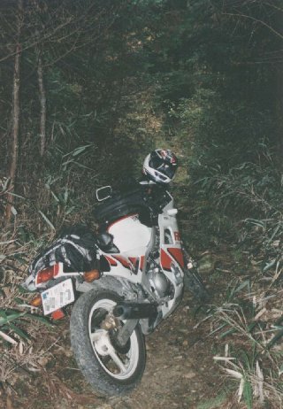 FZR250R