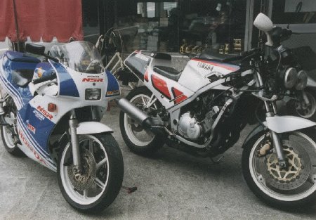 FZR250R